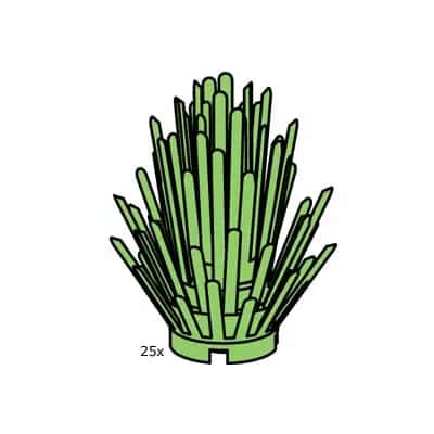 Bush
