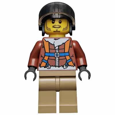 Arctic Plane Pilot