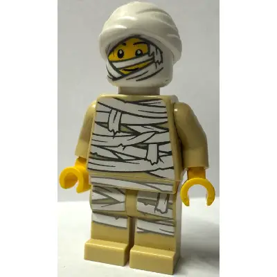 Mummy Costume Guy (BAM)