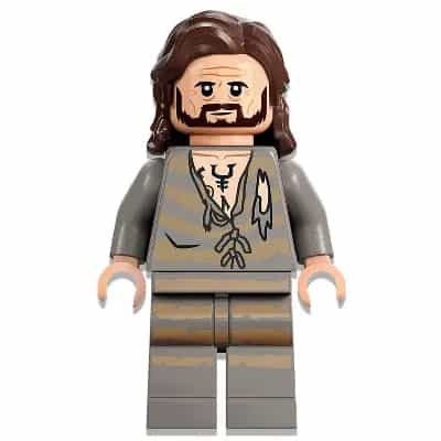 Sirius Black - Dark Brown Hair, Light Bluish Gray Tattered Striped Shirt