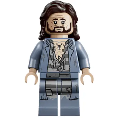 Sirius Black - Dark Brown Hair, Sand Blue Jacket over Tattered Striped Shirt, Printed Legs