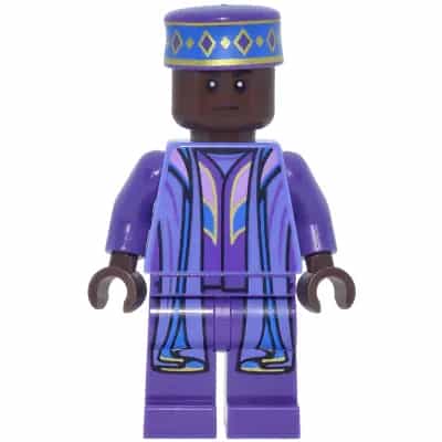 Kingsley Shacklebolt - Umber, Blue Violet and Dark Purple Robe