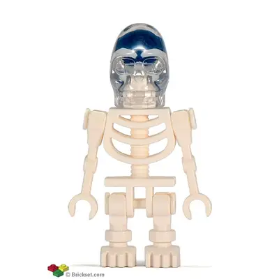 Akator Skeleton