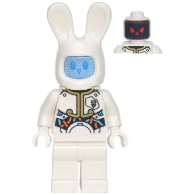 Lunar Rabbit Robot
