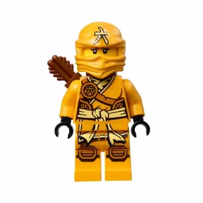 Skylor (Jungle Robe) - Tournament of Elements