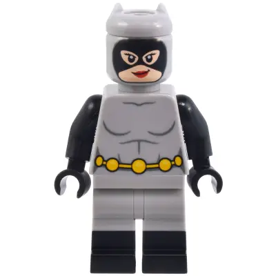Catwoman - Light Bluish Gray Suit