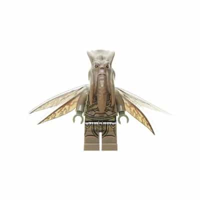 Poggle the Lesser