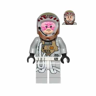 Gray Squadron Pilot (Horton Salm)