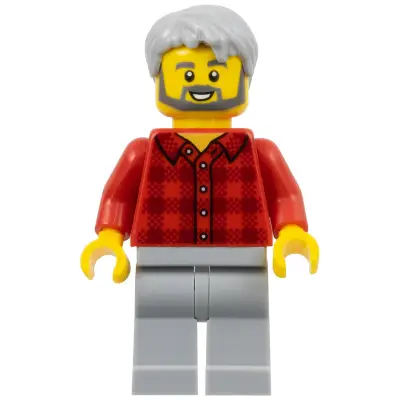 Male, Red Plaid Flannel Shirt, Light Bluish Gray Legs, Light Bluish Gray Hair, Dark Bluish Gray Beard