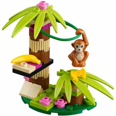 Palma orangutana