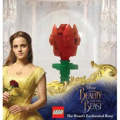The Beast's Enchanted Rose
