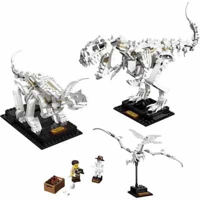 Szkielety dinozaurów