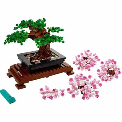 Drzewko bonsai