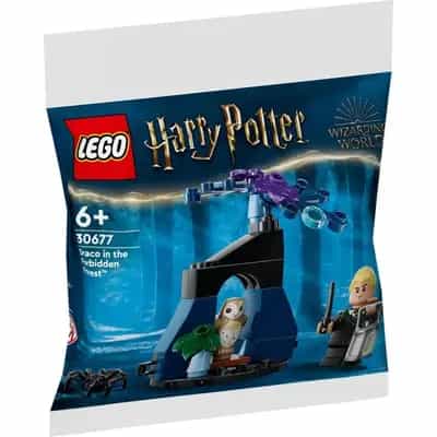 Draco w Zakazanym Lesie
