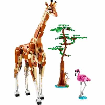 Dzikie zwierzęta z safari