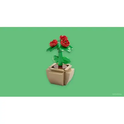 Mother's Day Flower M&T
