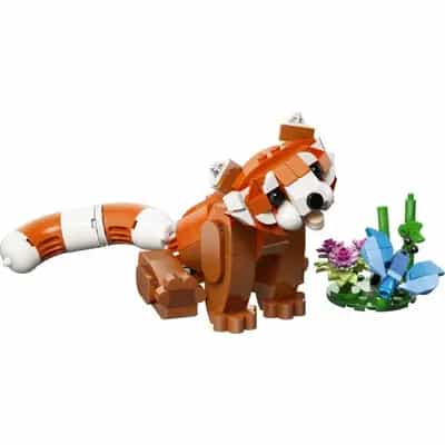 Urocze zwierzątka: Panda ruda