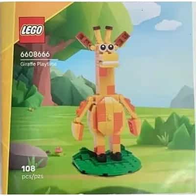 Giraffe Playtime
