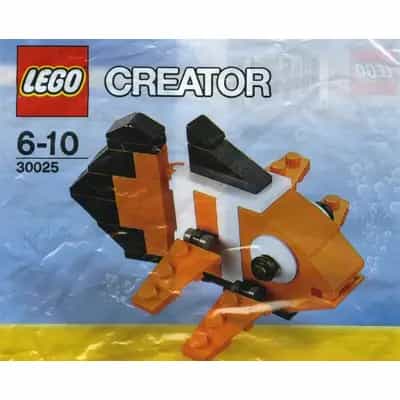 Clown Fish